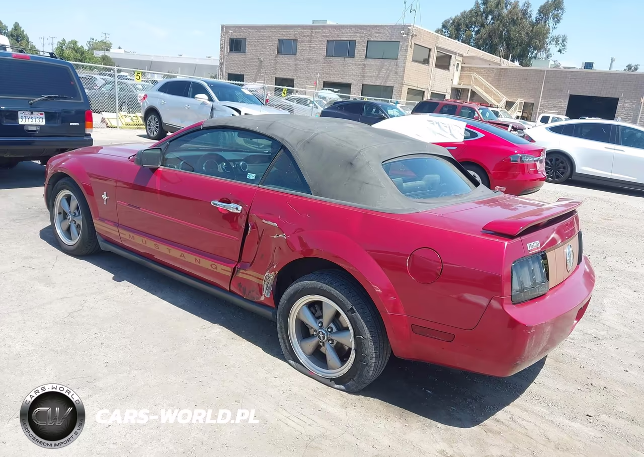 2005 Ford Mustang VIN:1ZVFT84N455219881 - 3