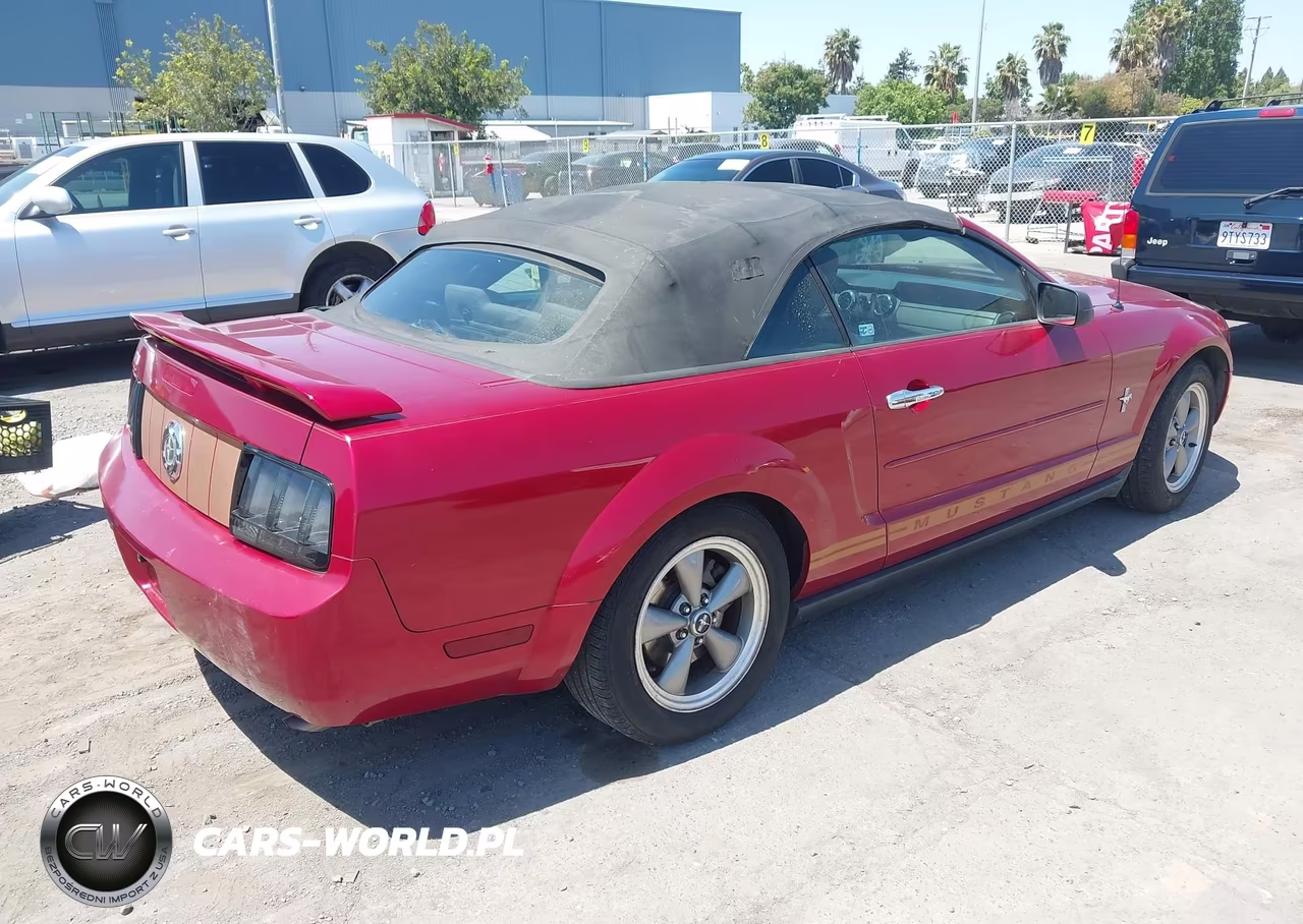 2005 Ford Mustang VIN:1ZVFT84N455219881 - 4