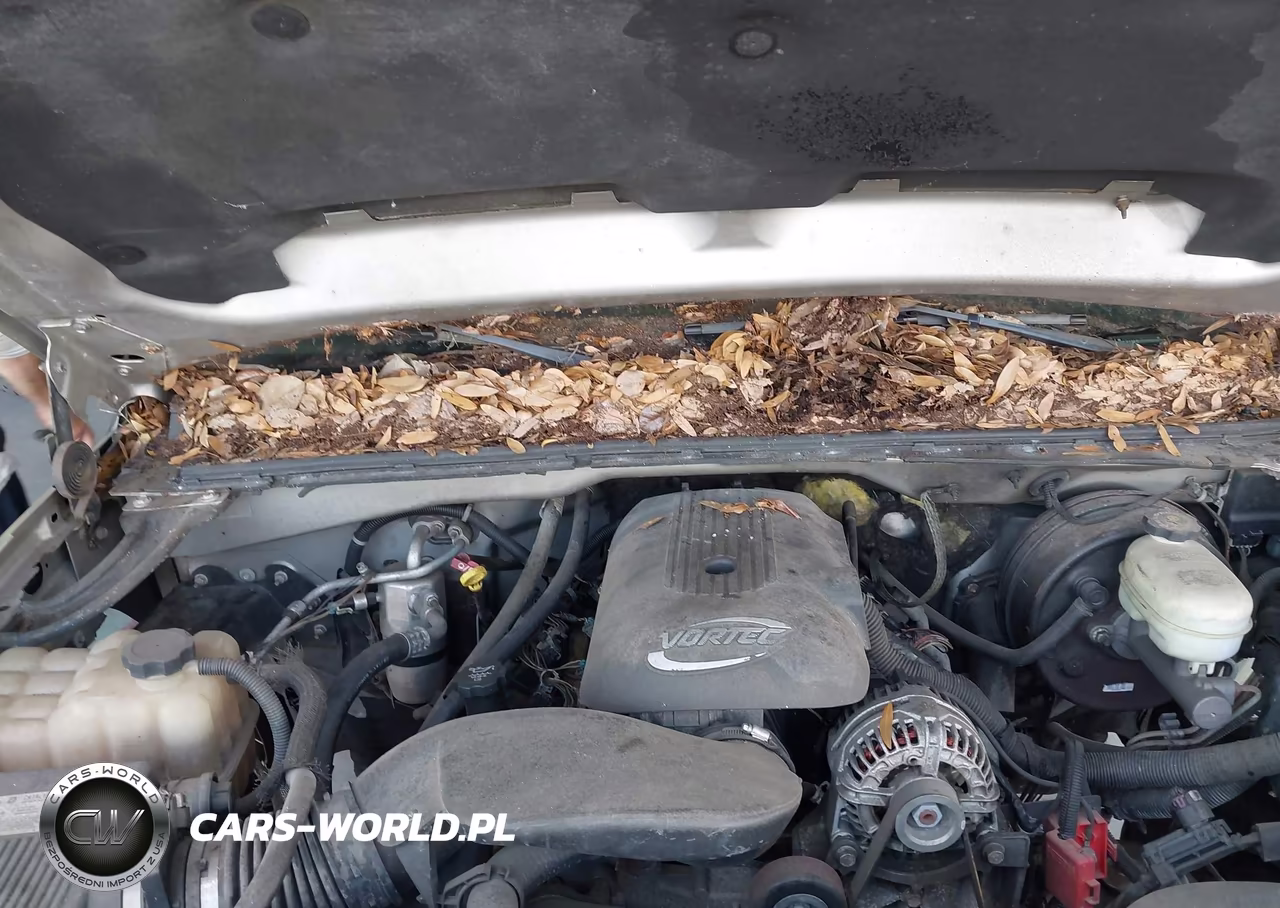 2006 Chevrolet Silverado 1500 Lt1 VIN:2GCEC13Z961255319 - 10
