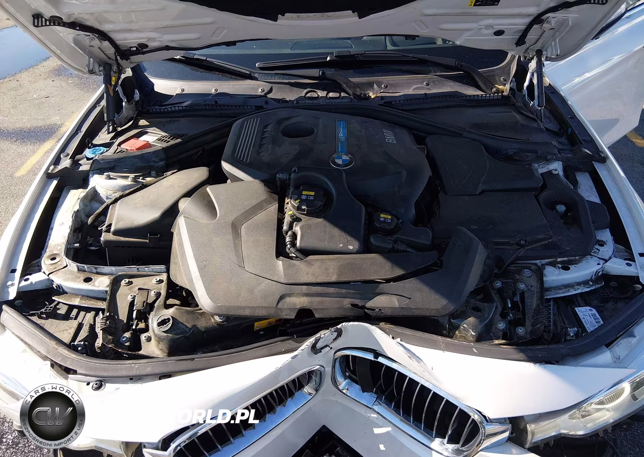 2018 BMW 330E Iperformance VIN:WBA8E1C57JA178076 - 10