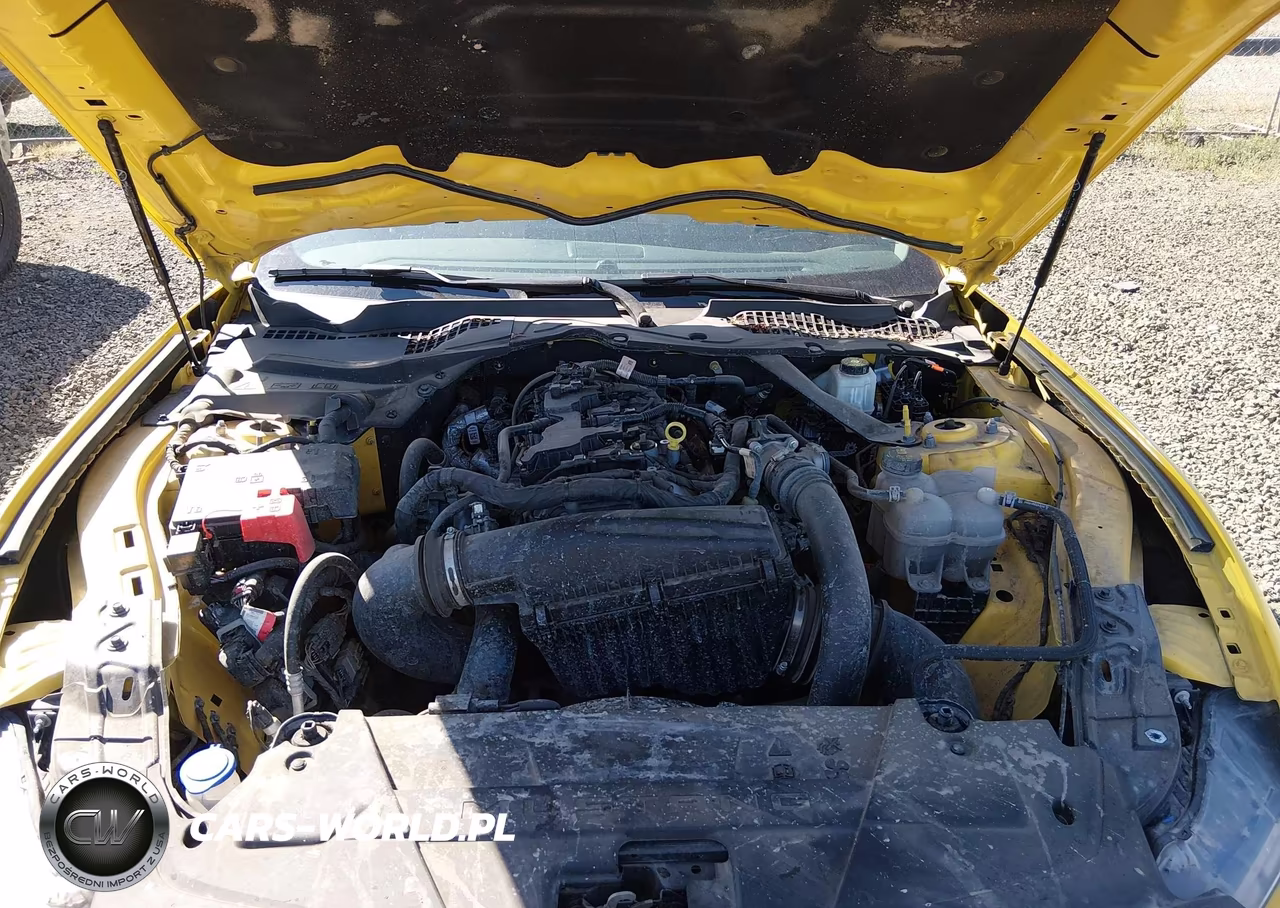 2024 Ford Mustang Ecoboost Premium VIN:1FAGP8UH7R5123227 - 10