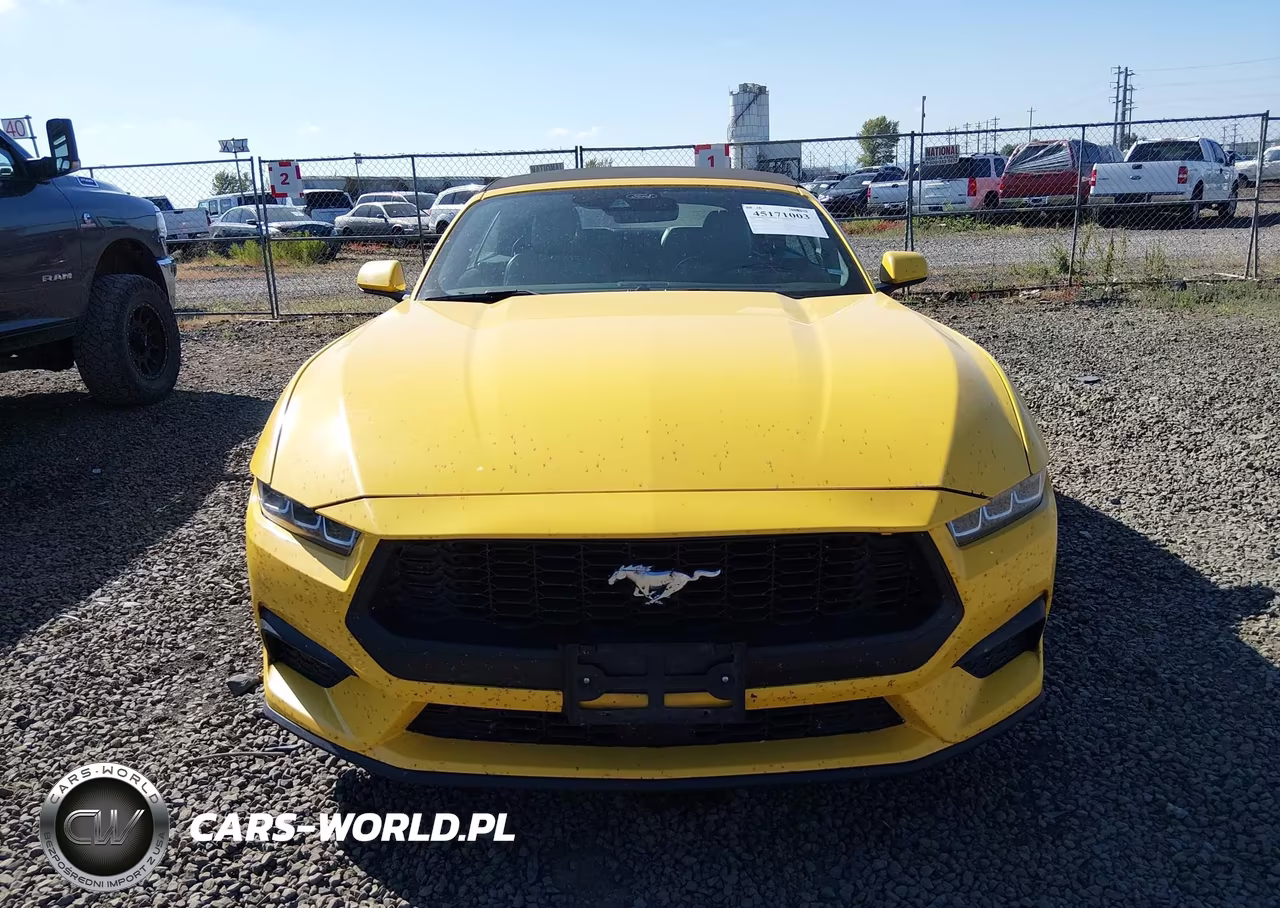2024 Ford Mustang Ecoboost Premium VIN:1FAGP8UH7R5123227 - 12
