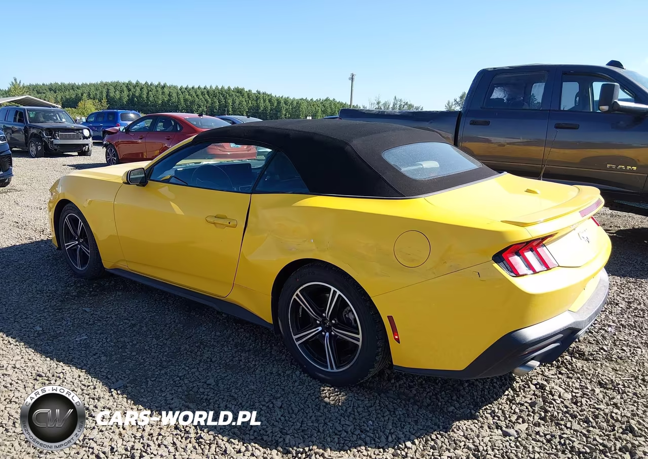 2024 Ford Mustang Ecoboost Premium VIN:1FAGP8UH7R5123227 - 3