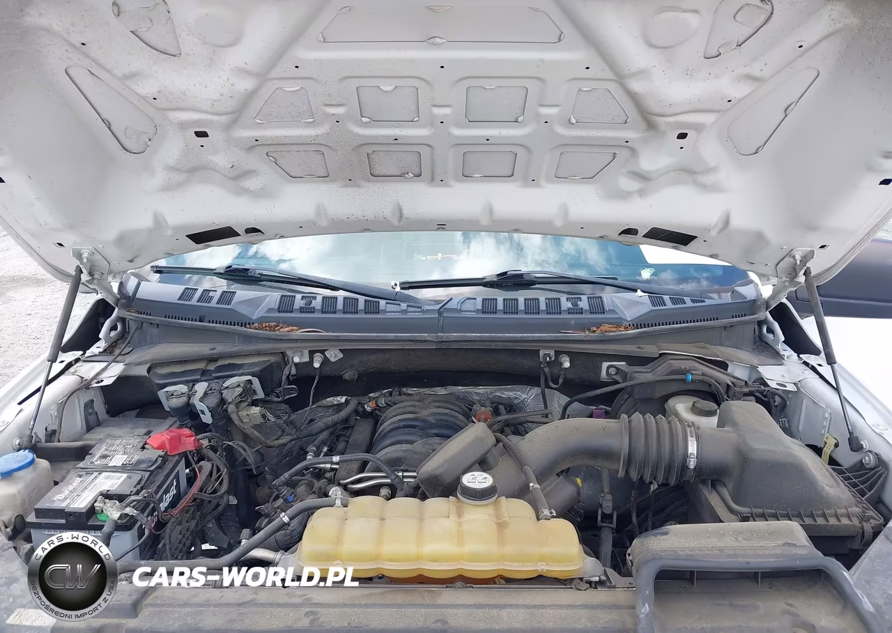 2019 Ford F-150 Xl VIN:1FTFW1E59KKD98433 - 10