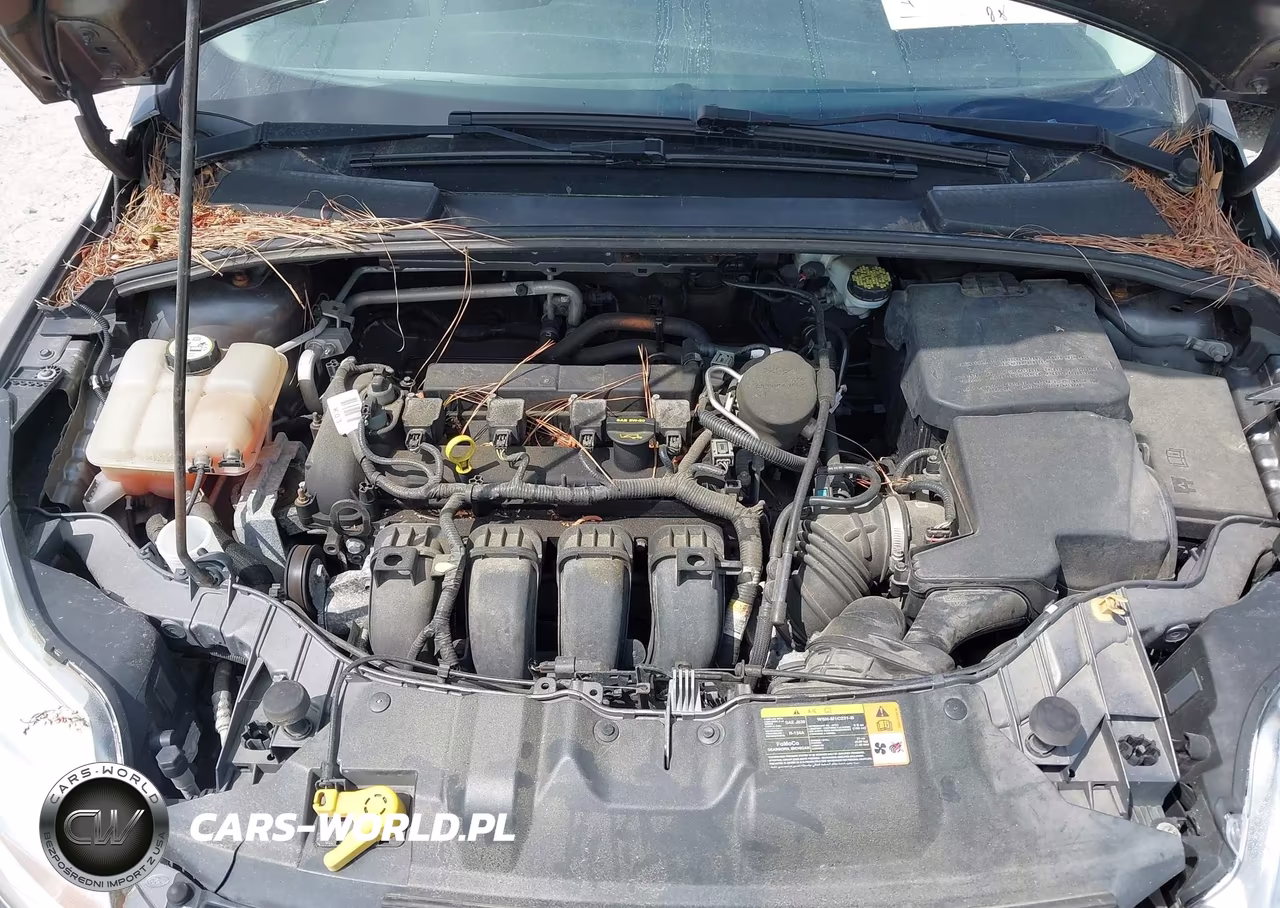 2012 Ford Focus Se VIN:1FAHP3F27CL442906 - 10