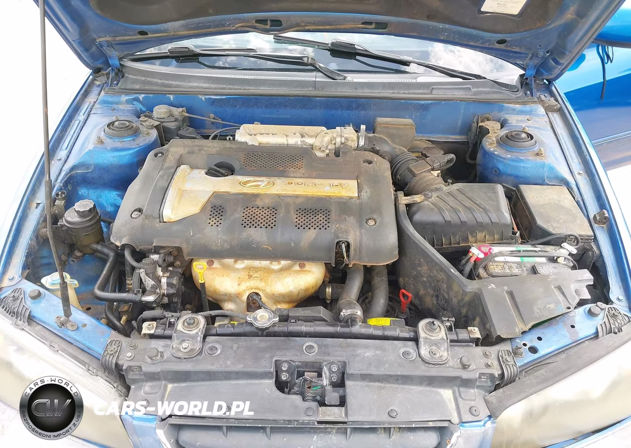 2004 Hyundai Elantra Gls-Gt VIN:KMHDN46D54U820895 - 10