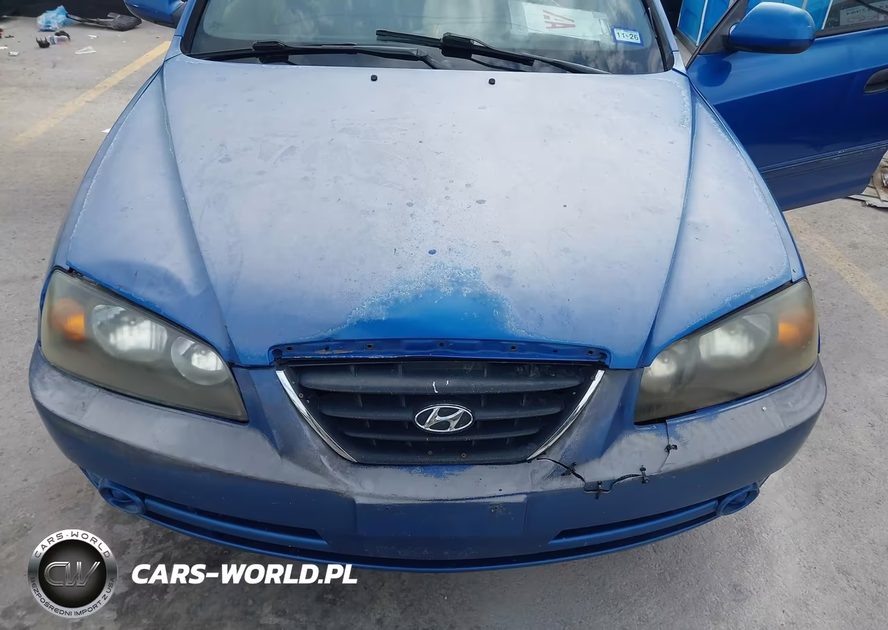 2004 Hyundai Elantra Gls-Gt VIN:KMHDN46D54U820895 - 6