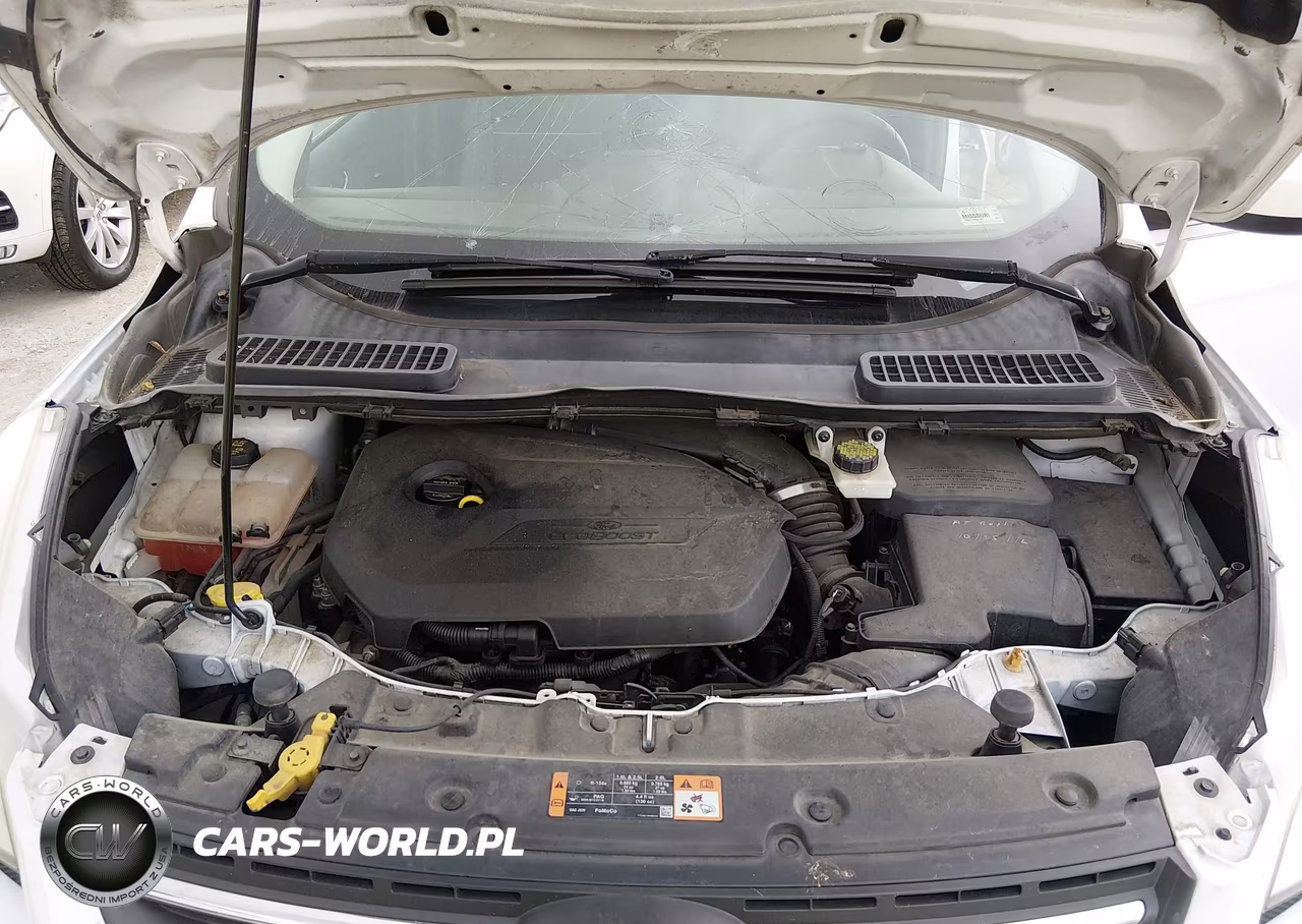 2015 Ford Escape Se VIN:1FMCU0GX9FUA39557 - 10
