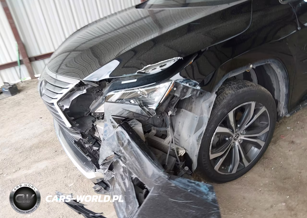 2019 Lexus Rx 350L Premium VIN:JTJGZKCA6K2013439 - 6