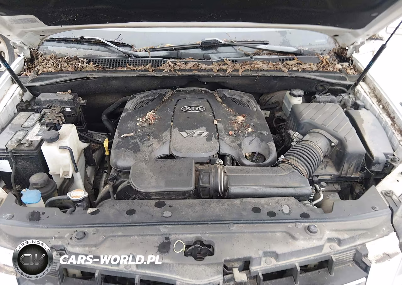 2009 Kia Borrego Ex V8 VIN:KNDJJ742X95016762 - 10