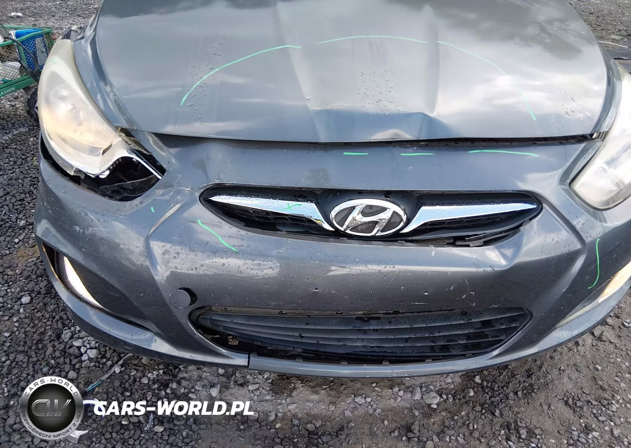 2012 Hyundai Accent Se VIN:KMHCU5AE8CU041932 - 6