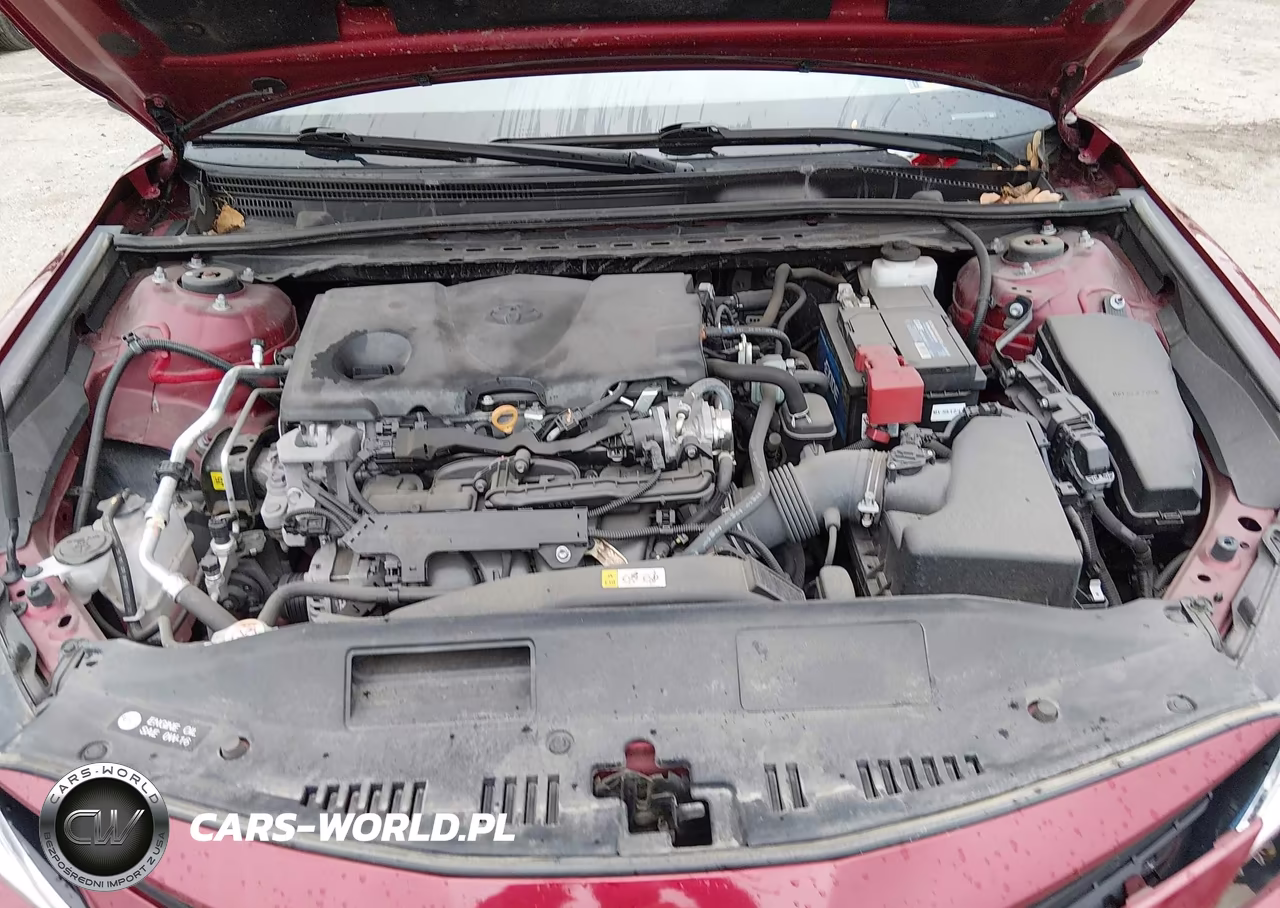 2021 Toyota Camry Le VIN:4T1C11AK9MU455004 - 10