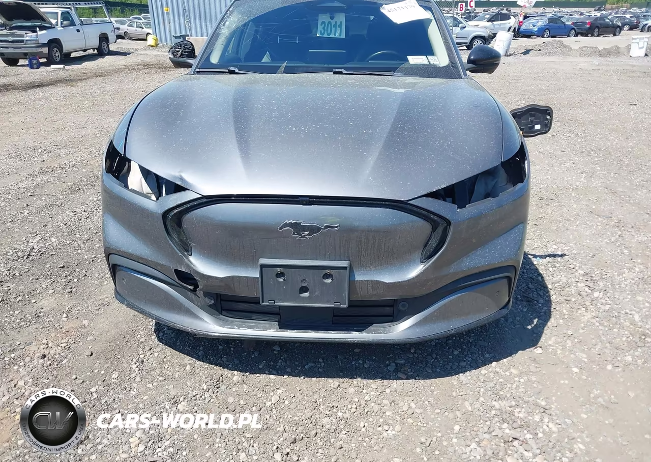 2021 Ford Mustang Mach-E Premium VIN:3FMTK3SU9MMA03289 - 12