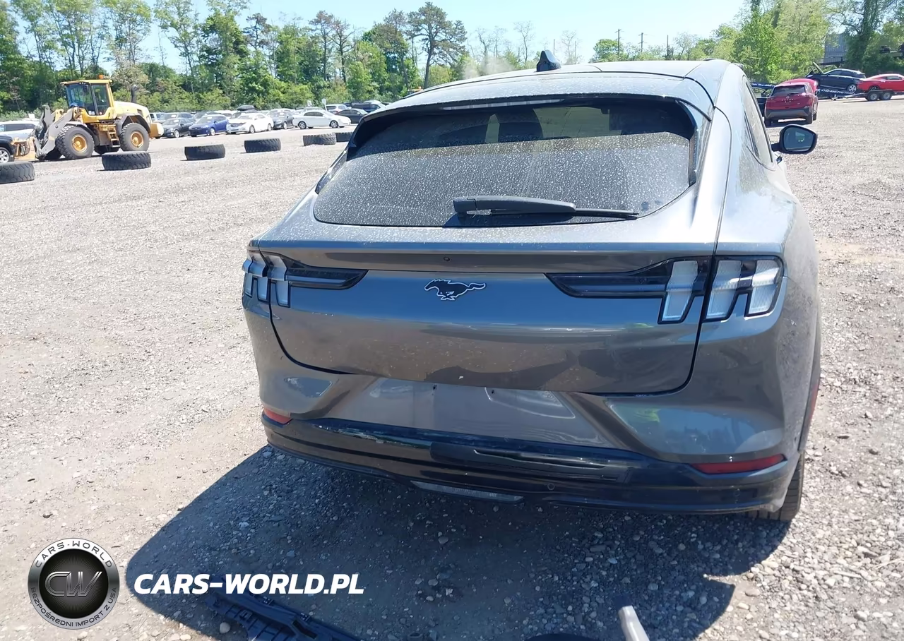 2021 Ford Mustang Mach-E Premium VIN:3FMTK3SU9MMA03289 - 16