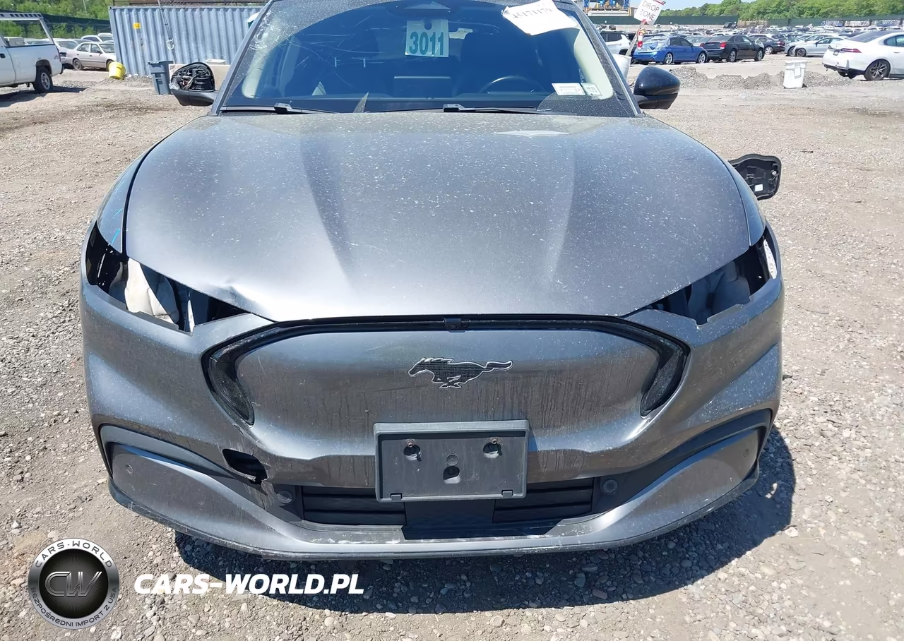 2021 Ford Mustang Mach-E Premium VIN:3FMTK3SU9MMA03289 - 19