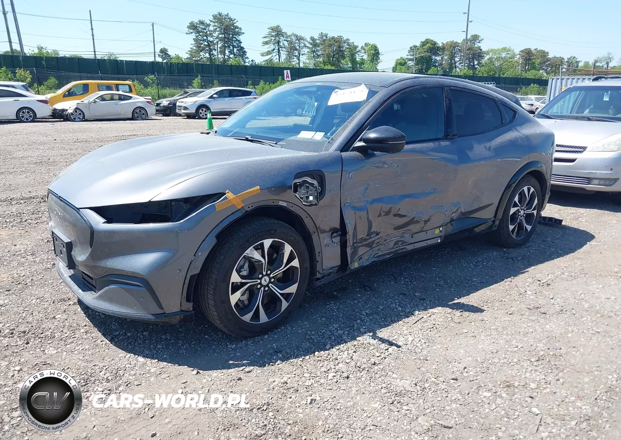 2021 Ford Mustang Mach-E Premium VIN:3FMTK3SU9MMA03289 - 2