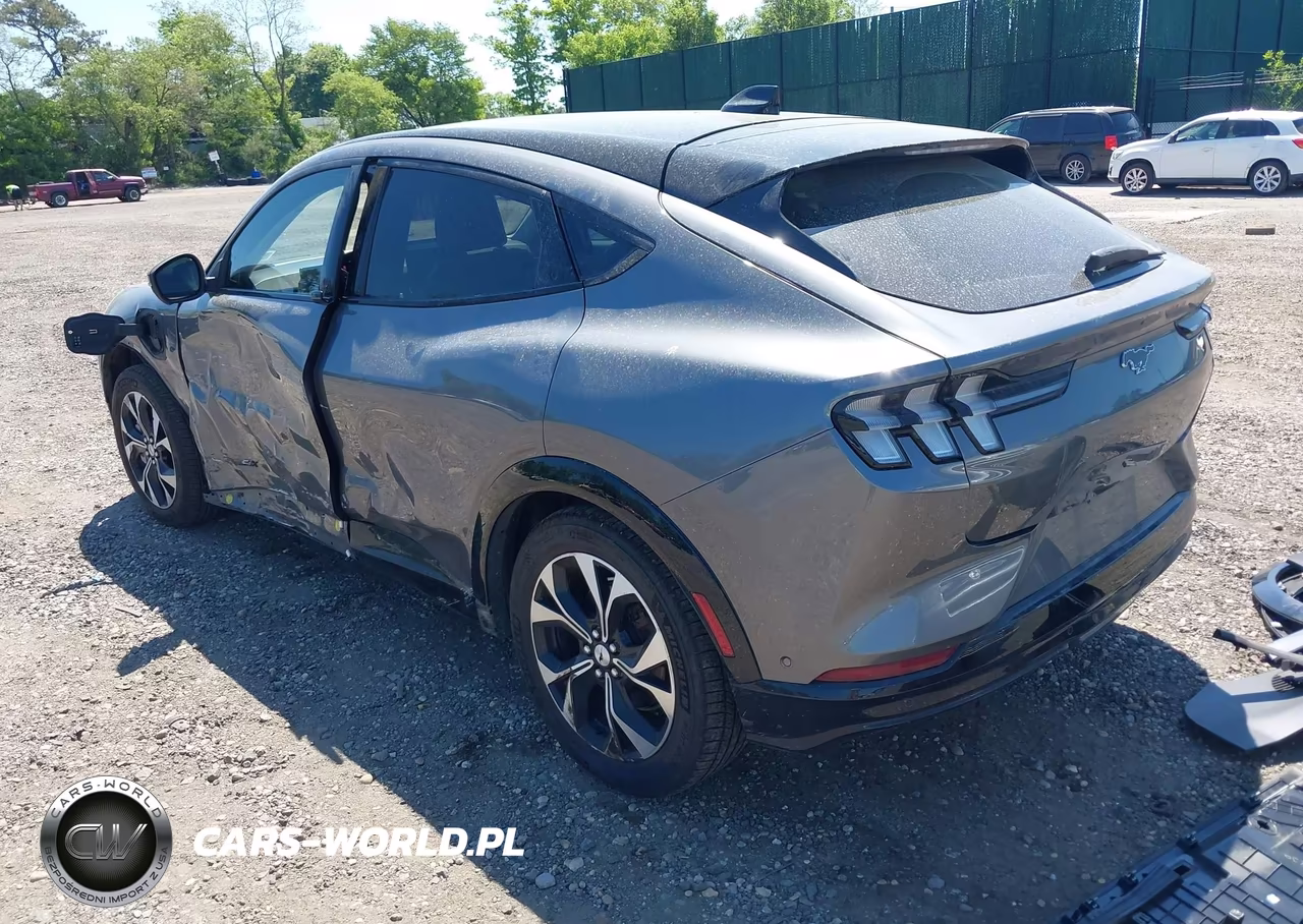 2021 Ford Mustang Mach-E Premium VIN:3FMTK3SU9MMA03289 - 3