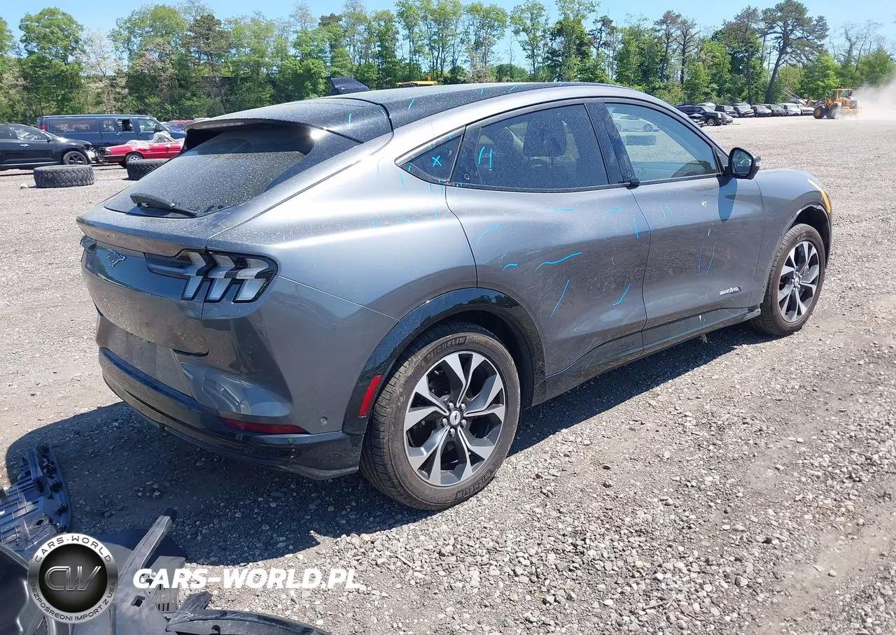 2021 Ford Mustang Mach-E Premium VIN:3FMTK3SU9MMA03289 - 4