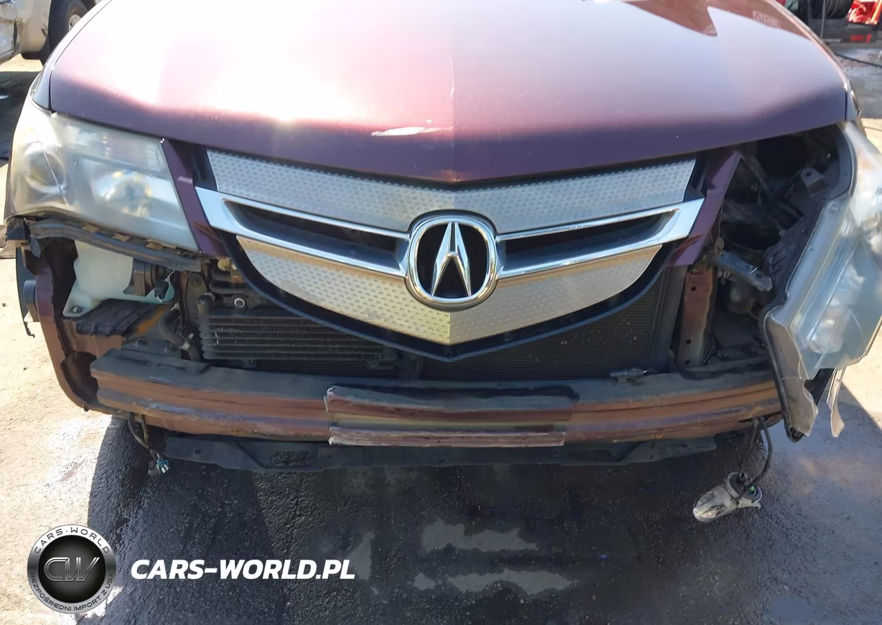 2009 Acura Mdx Technology Package VIN:2HNYD28699H530241 - 19
