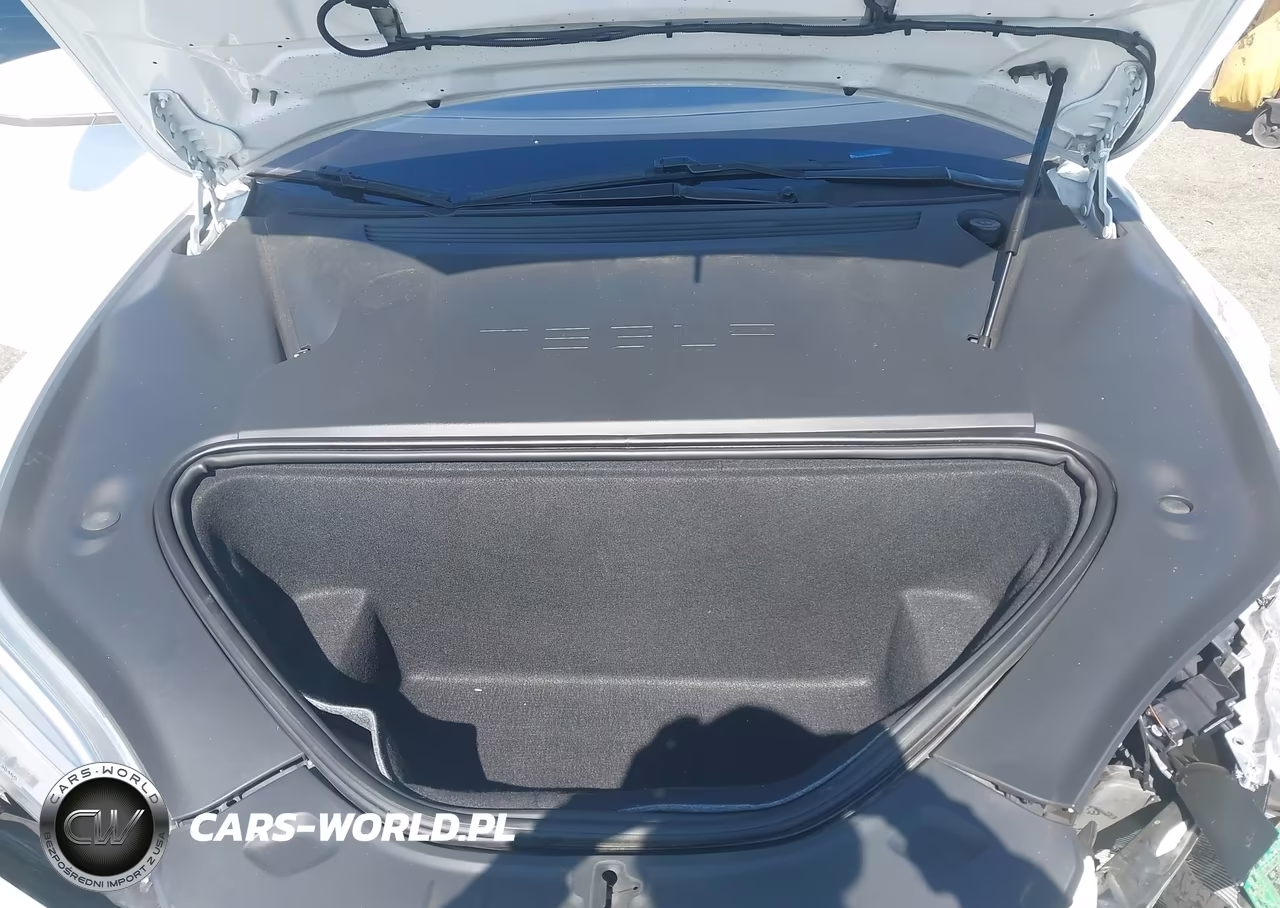 2020 Tesla Model S VIN:5YJSA1E25LF390461 - 10