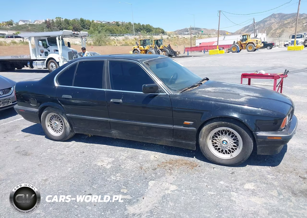 1995 BMW 530 I Automatic VIN:WBAHE2327SGE92744 - 13