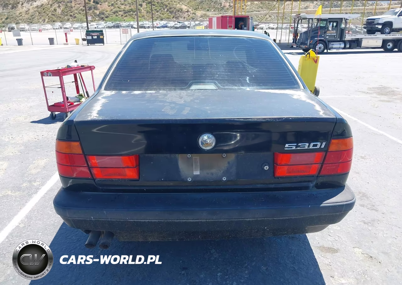 1995 BMW 530 I Automatic VIN:WBAHE2327SGE92744 - 16