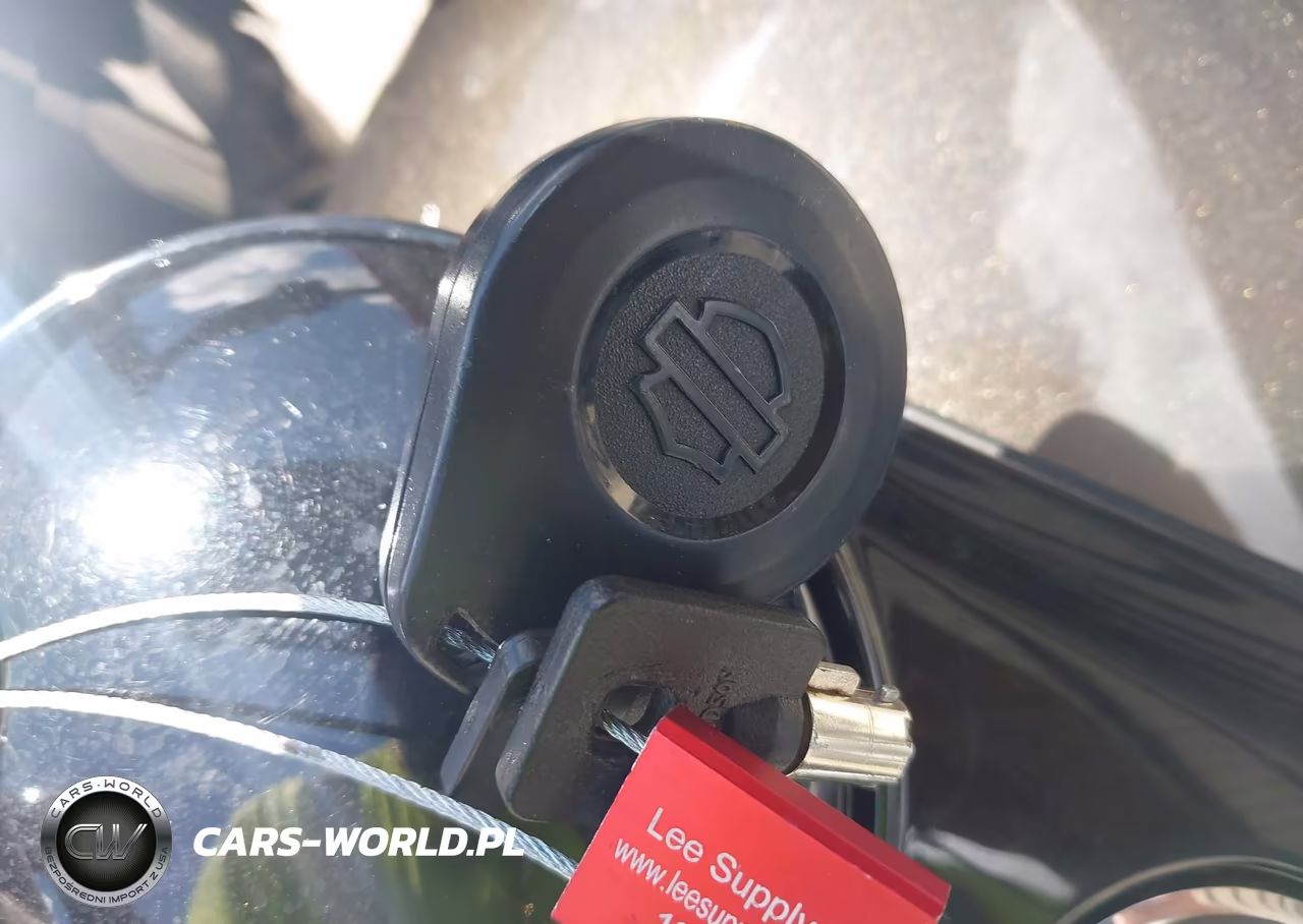 2019 Harley-Davidson Fltrxs VIN:1HD1KTP15KB666971 - 11
