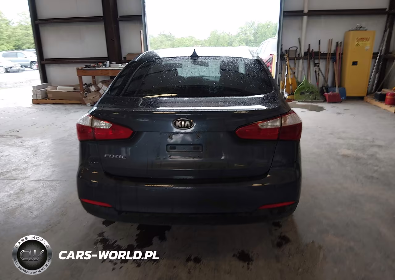 2015 Kia Forte Lx VIN:KNAFX4A65F5270902 - 17