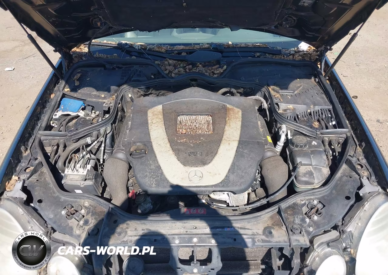 2009 Mercedes-Benz E 350 4Matic VIN:WDBUF87X49B412066 - 10