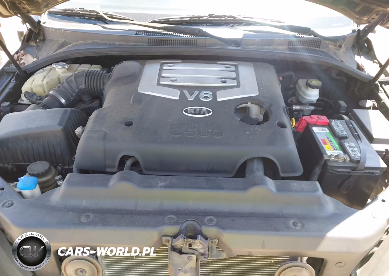 2006 Kia Sorento Ex-Lx VIN:KNDJC733165633998 - 10