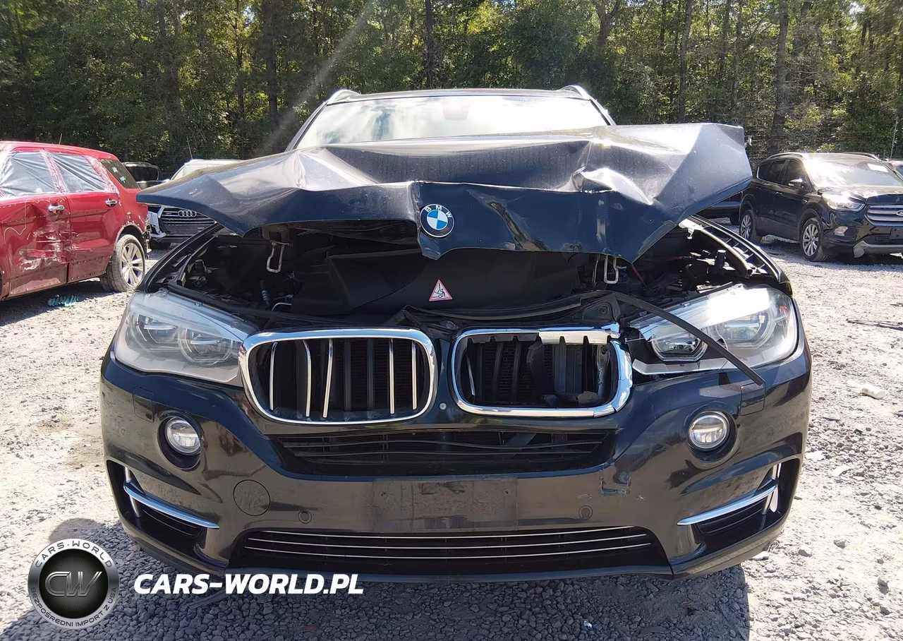 2014 BMW X5 xDrive50I VIN:5UXKR6C53E0C03305 - 12