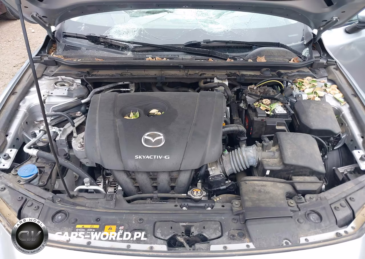 2021 Mazda Mazda3 2.0 VIN:JM1BPAA72M1334309 - 10