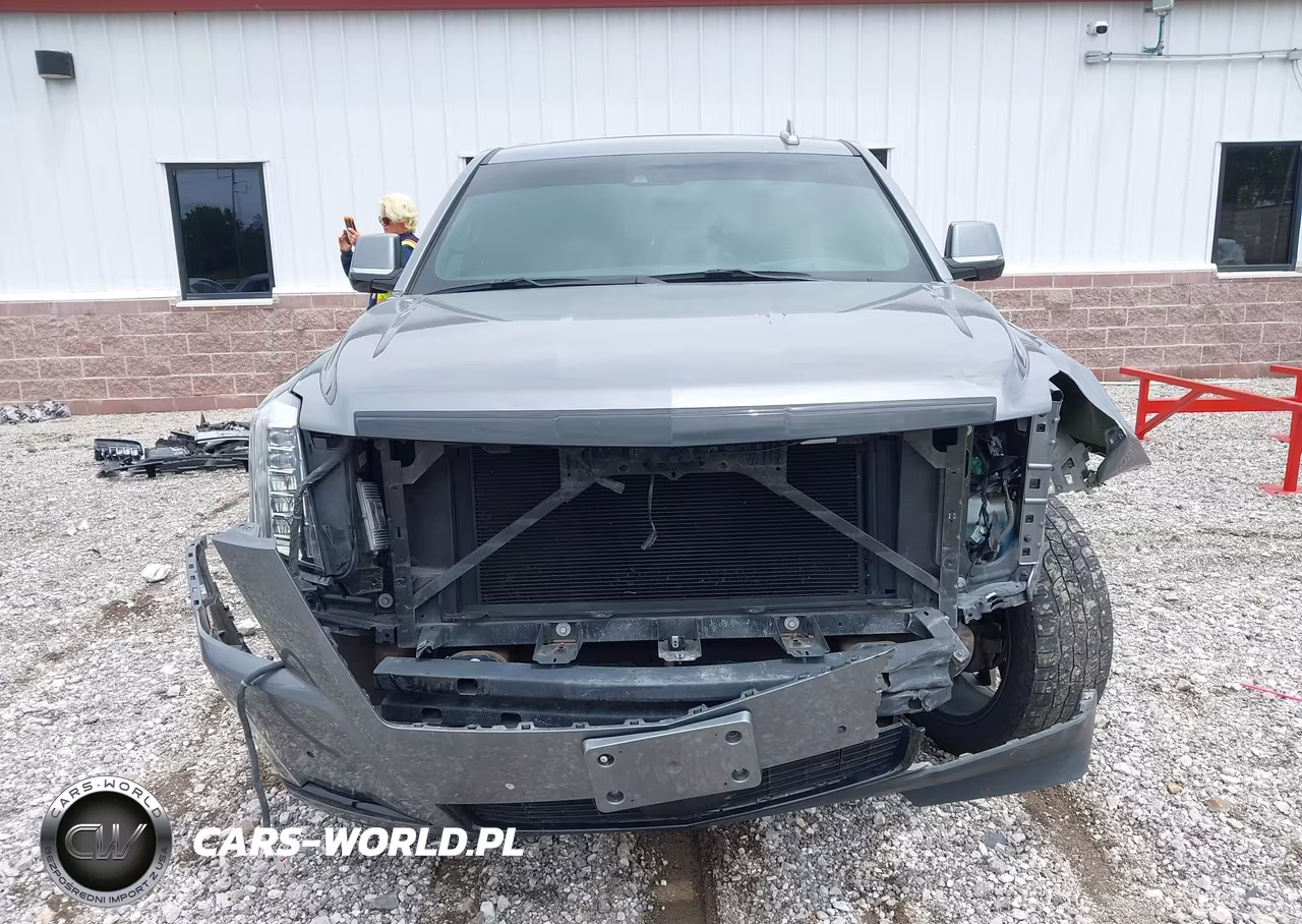2020 Cadillac Escalade Esv 4Wd Platinum VIN:1GYS4KKJ5LR194176 - 13