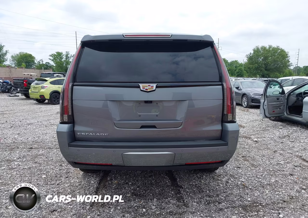 2020 Cadillac Escalade Esv 4Wd Platinum VIN:1GYS4KKJ5LR194176 - 17