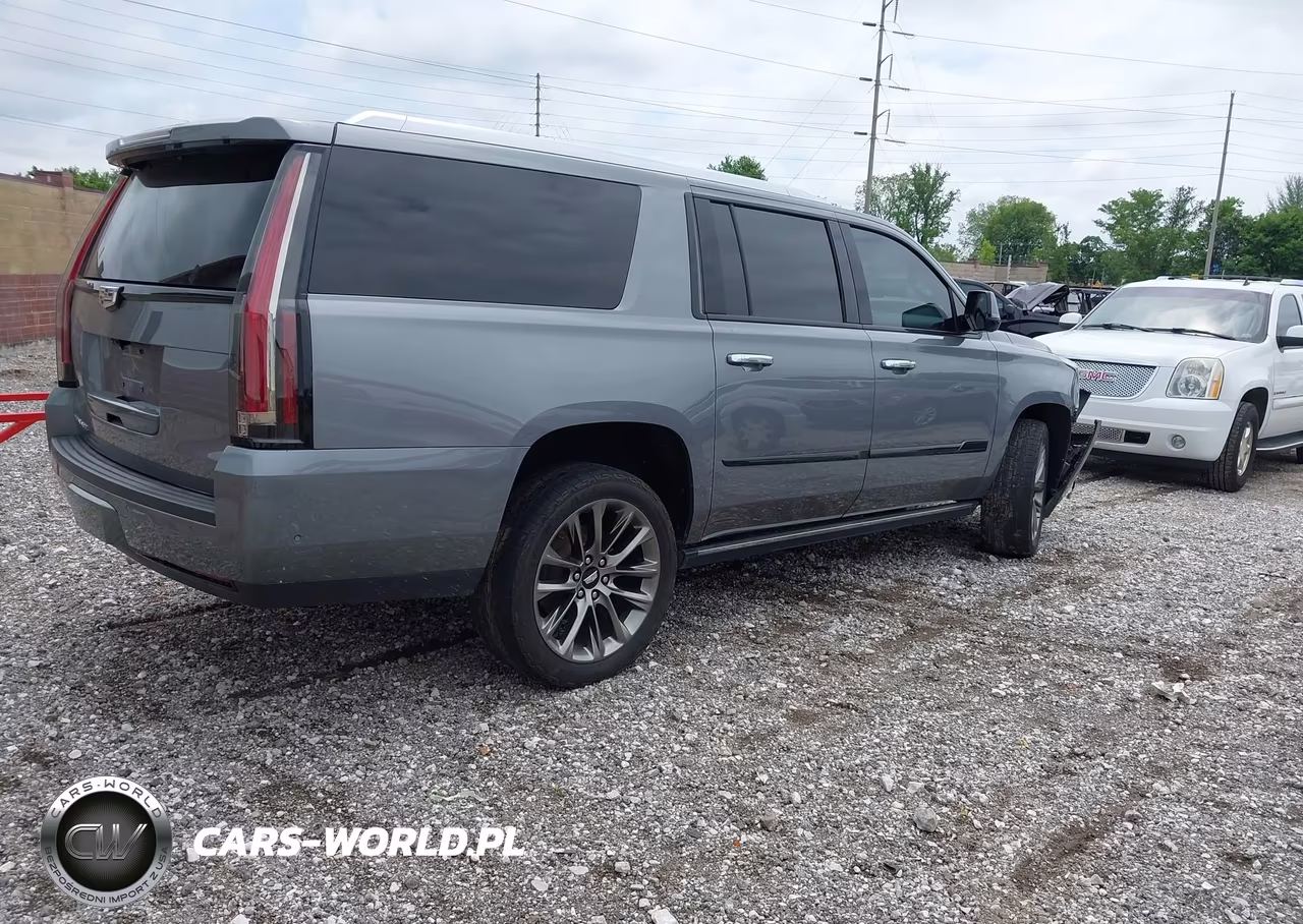 2020 Cadillac Escalade Esv 4Wd Platinum VIN:1GYS4KKJ5LR194176 - 4