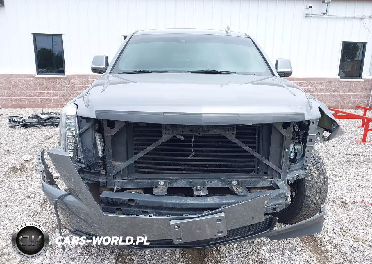 2020 Cadillac Escalade Esv 4Wd Platinum VIN:1GYS4KKJ5LR194176 - 6