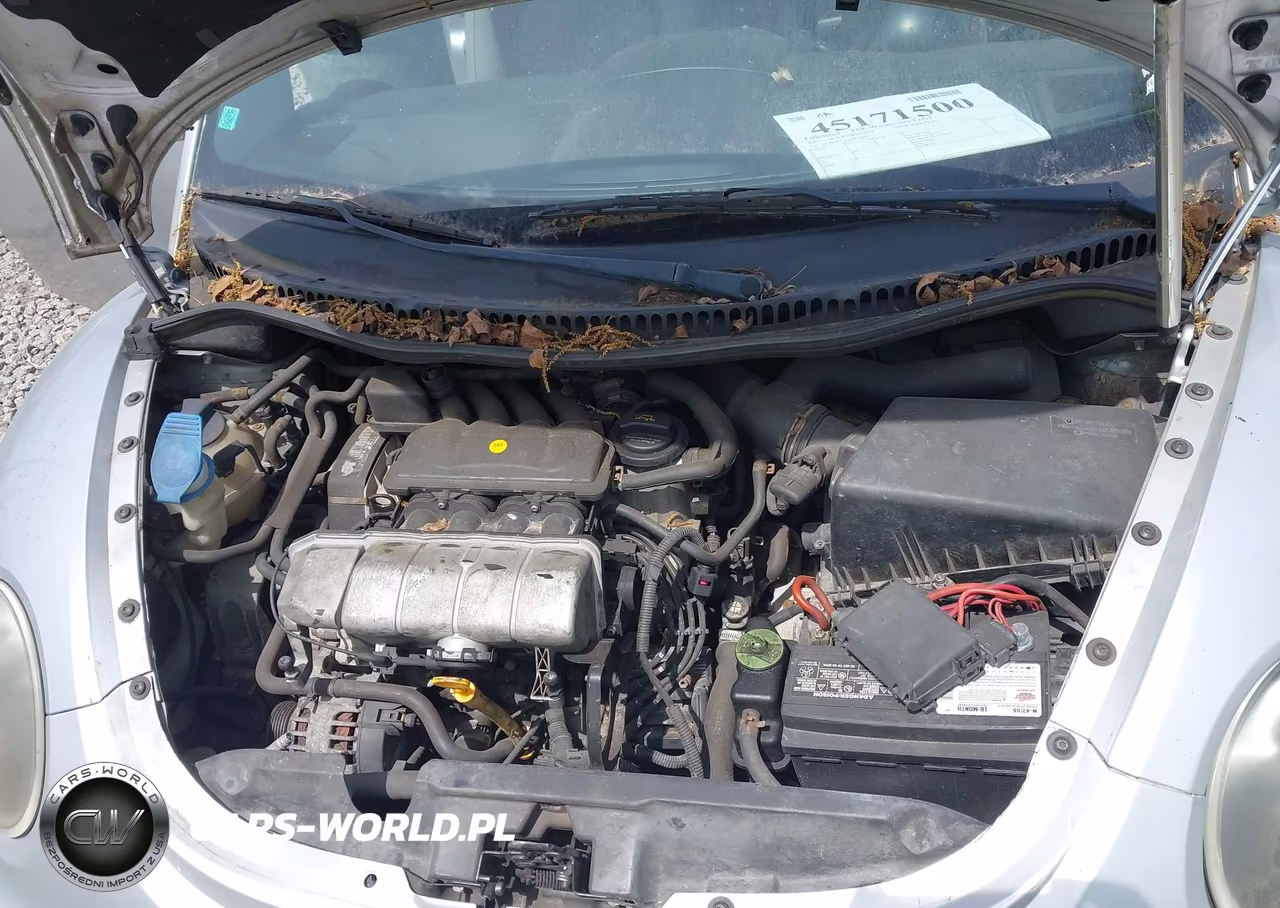 2003 Volkswagen New Beetle Gls VIN:3VWCK21Y13M304864 - 10