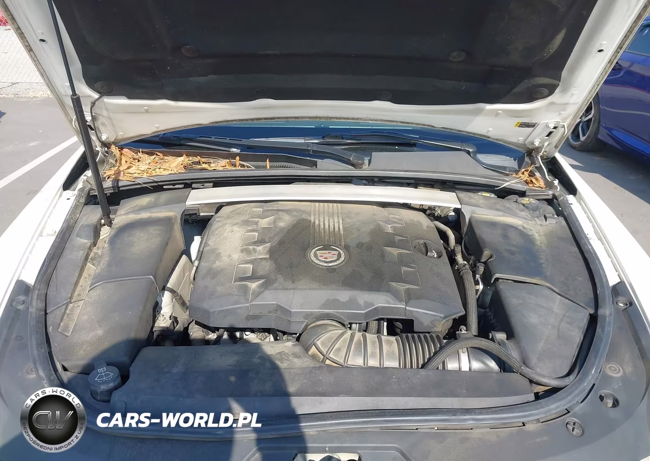 2011 Cadillac Cts Premium VIN:1G6DP5ED6B0159567 - 10