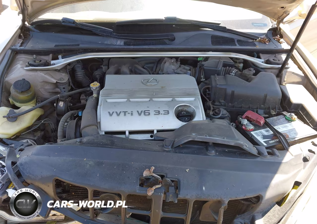 2004 Lexus Es 330 VIN:JTHBA30G245048854 - 10