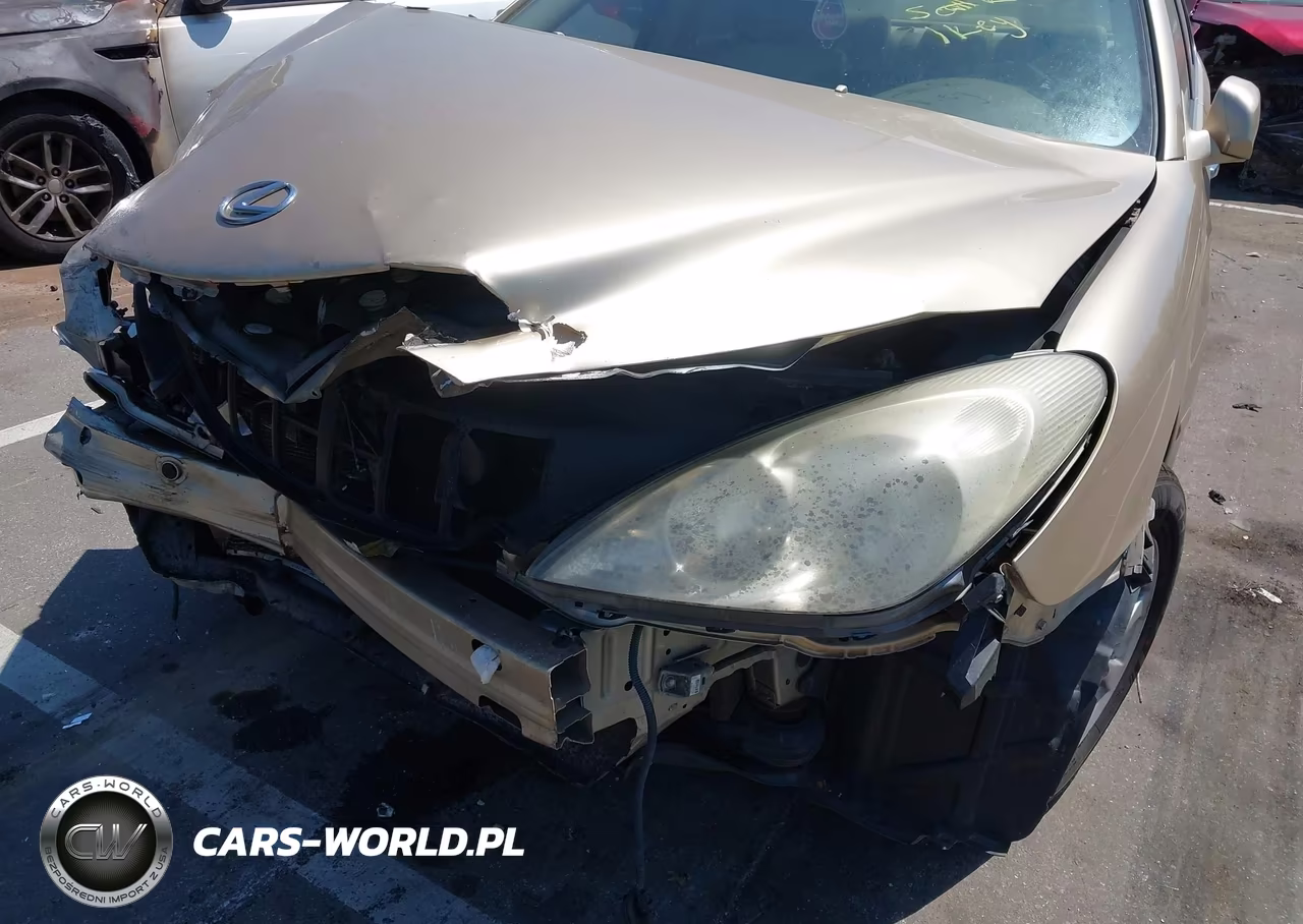 2004 Lexus Es 330 VIN:JTHBA30G245048854 - 6