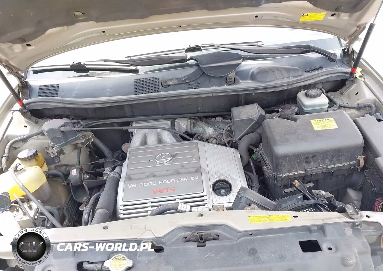 2002 Lexus Rx 300 VIN:JTJHF10U520289659 - 10