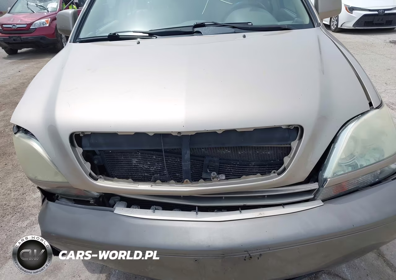2002 Lexus Rx 300 VIN:JTJHF10U520289659 - 11