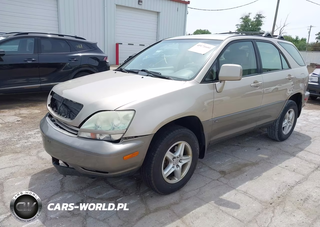 2002 Lexus Rx 300 VIN:JTJHF10U520289659 - 2