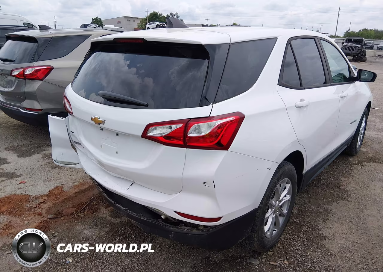 2020 Chevrolet Equinox Fwd Ls VIN:3GNAXHEV8LS510281 - 4