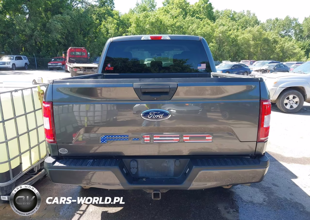 2018 Ford F-150 Xl VIN:1FTEW1E5XJFA71977 - 16