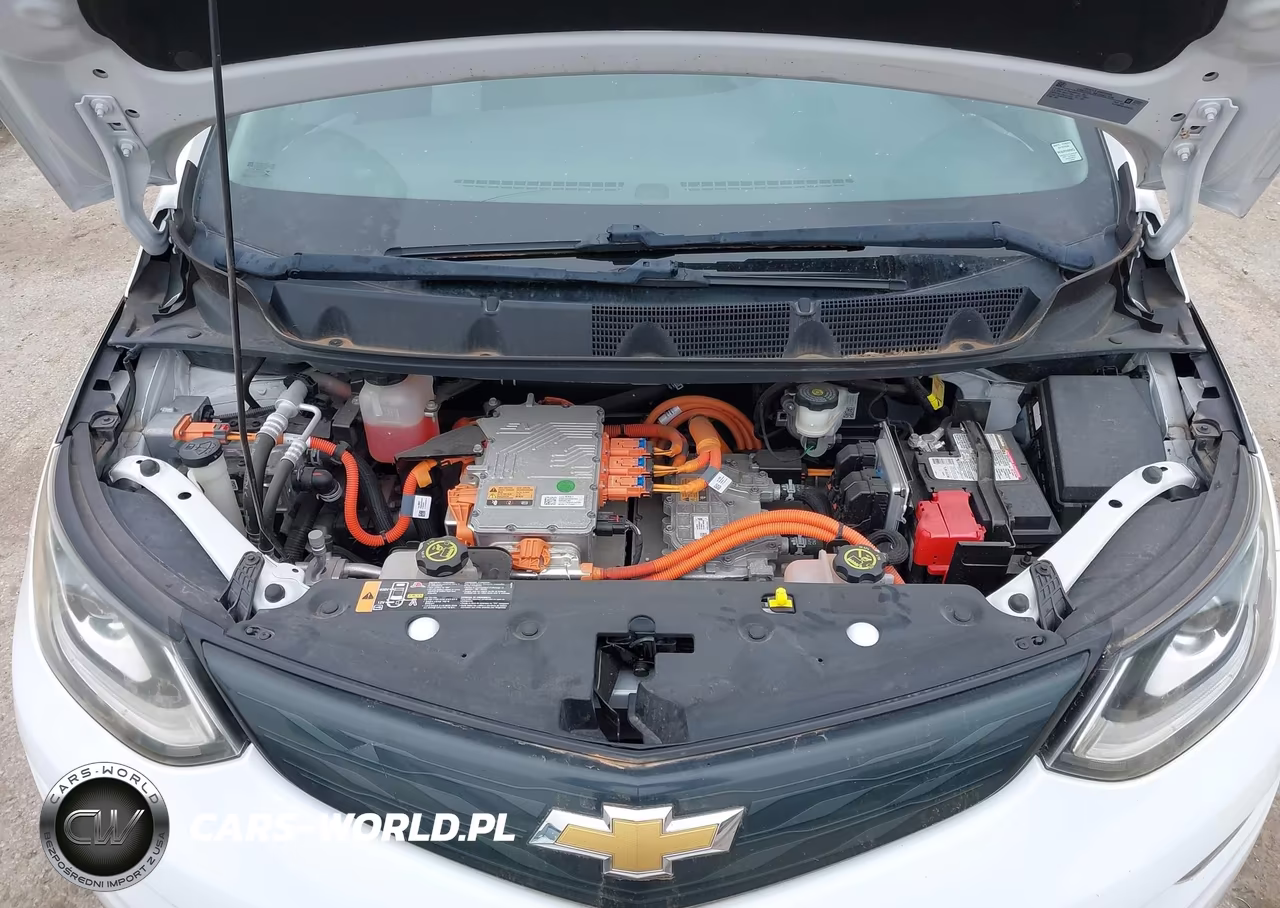 2017 Chevrolet Bolt Ev Lt VIN:1G1FW6S01H4181941 - 10