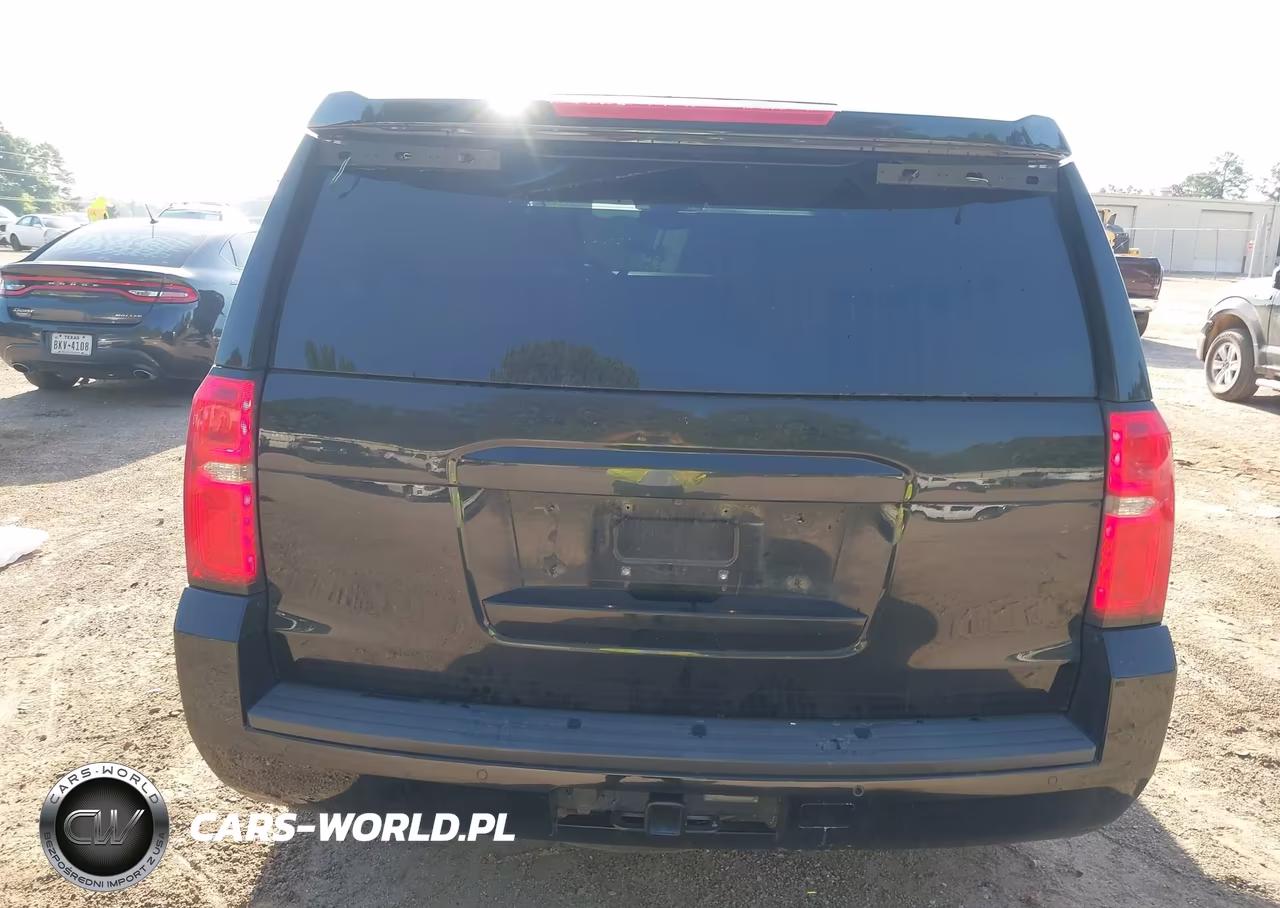 2020 Chevrolet Tahoe 2Wd Commercial Fleet VIN:1GNLCDEC1LR292358 - 17