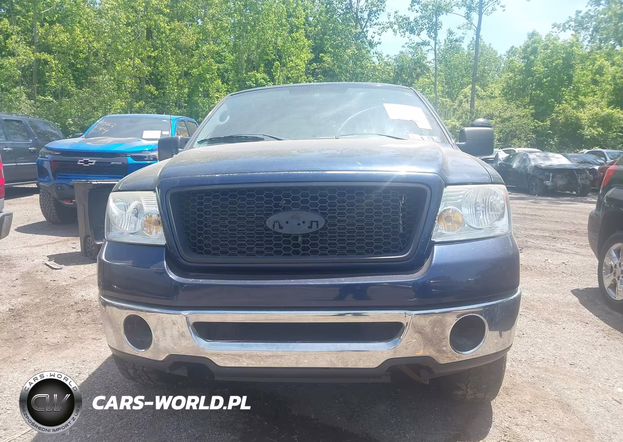 2006 Ford F-150 Fx4-Lariat-Xl-Xlt VIN:1FTPX14516FB07022 - 12