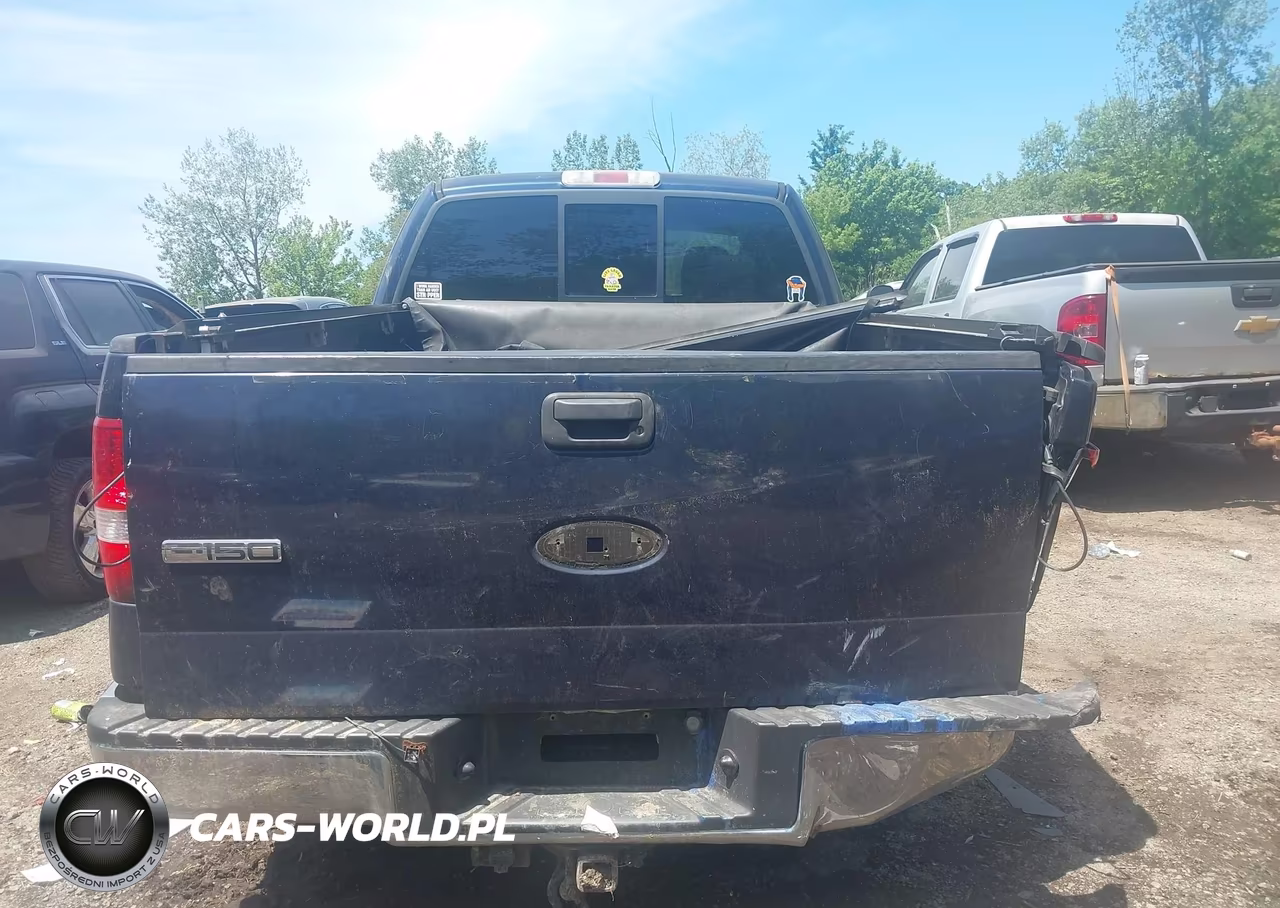 2006 Ford F-150 Fx4-Lariat-Xl-Xlt VIN:1FTPX14516FB07022 - 16