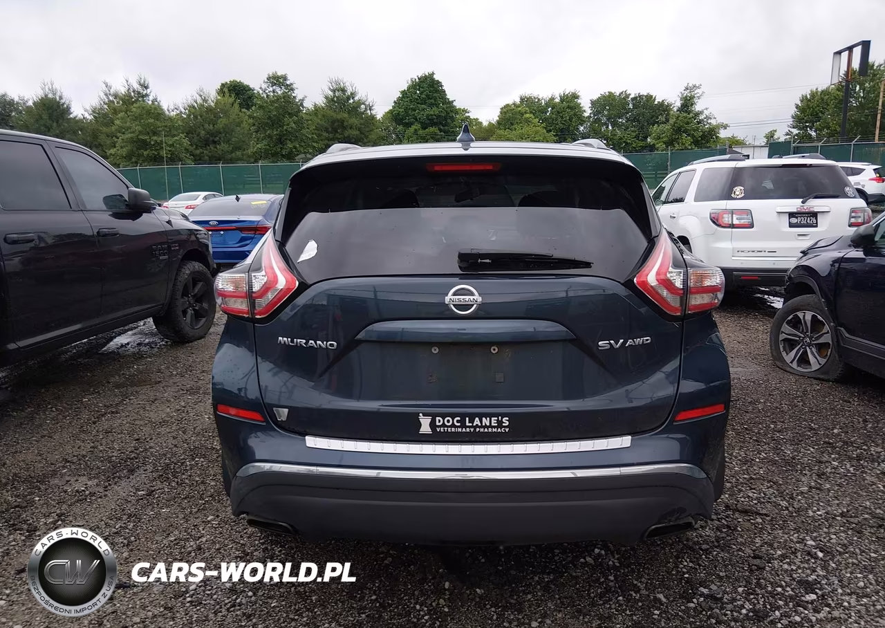 2017 Nissan Murano Sv VIN:5N1AZ2MH1HN192626 - 17